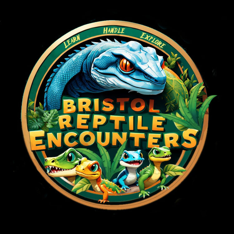Bristol Reptile Encounters
